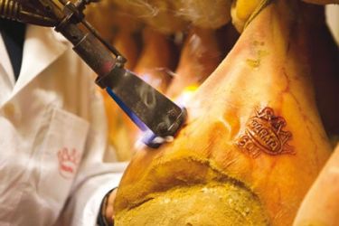 marchiatura prosciutto